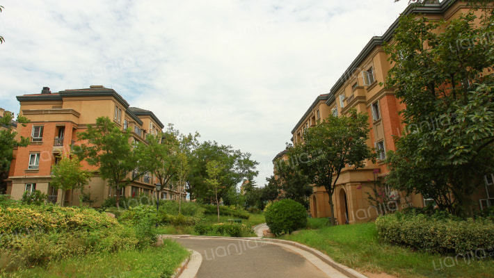 百合花园外景图