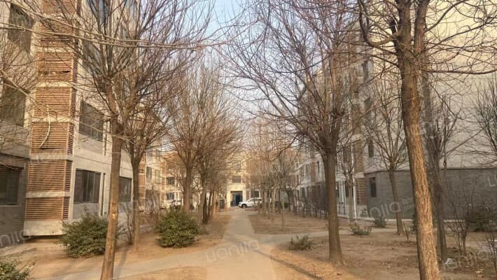 竹新苑南区外景图