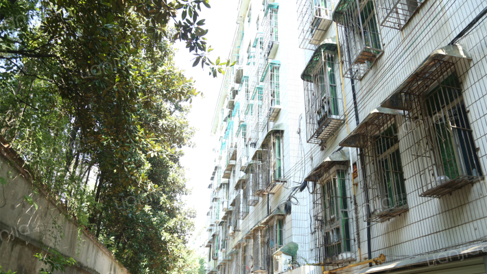 计生局单位宿舍外景图