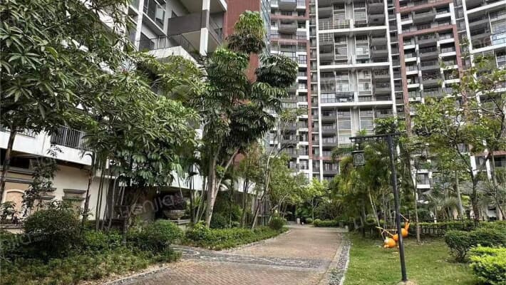 汤泉半岛外景图