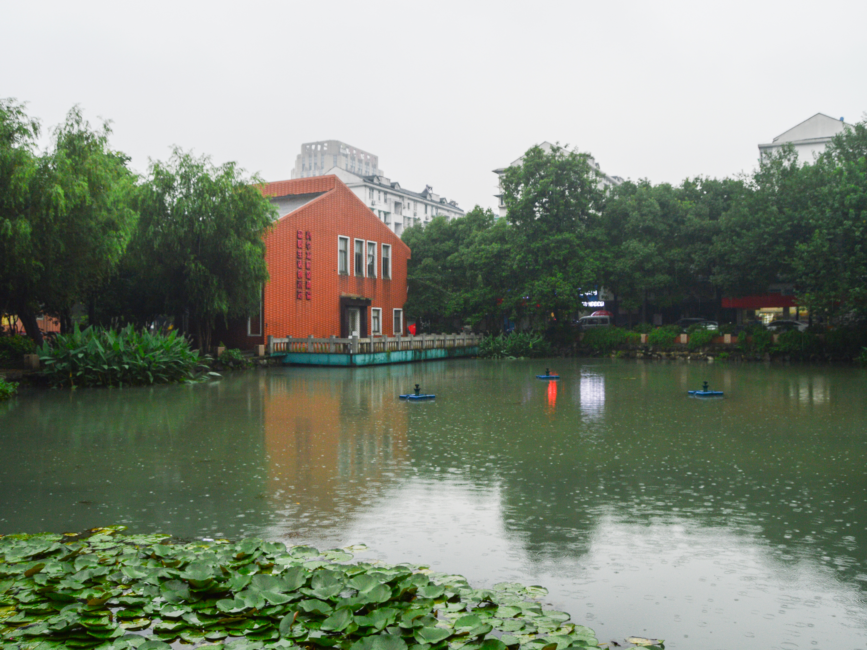 采荷一区小区实景 15