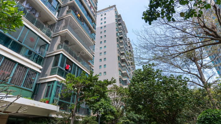 加州海岸外景图