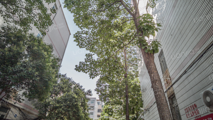 纬二路8号院外景图