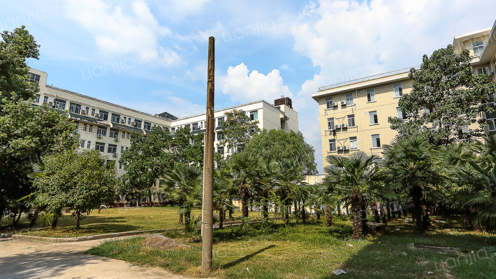 武大工学部外景图
