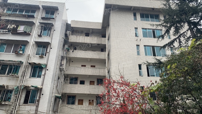 外南街185号外景图