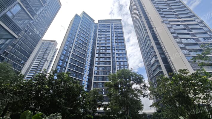 美的江上沄启外景图