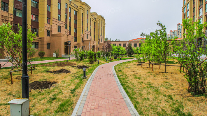 早安长春外景图