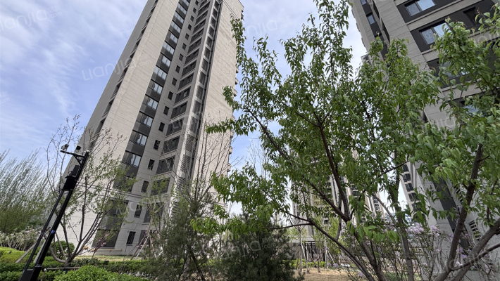 金融街·西青金悦府外景图