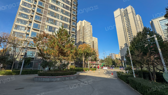 曲江杏林园外景图