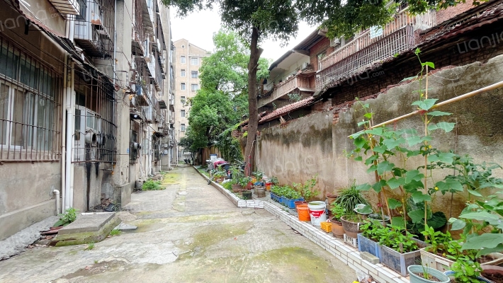 林业局住宅楼外景图