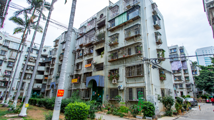 屿后北里外景图