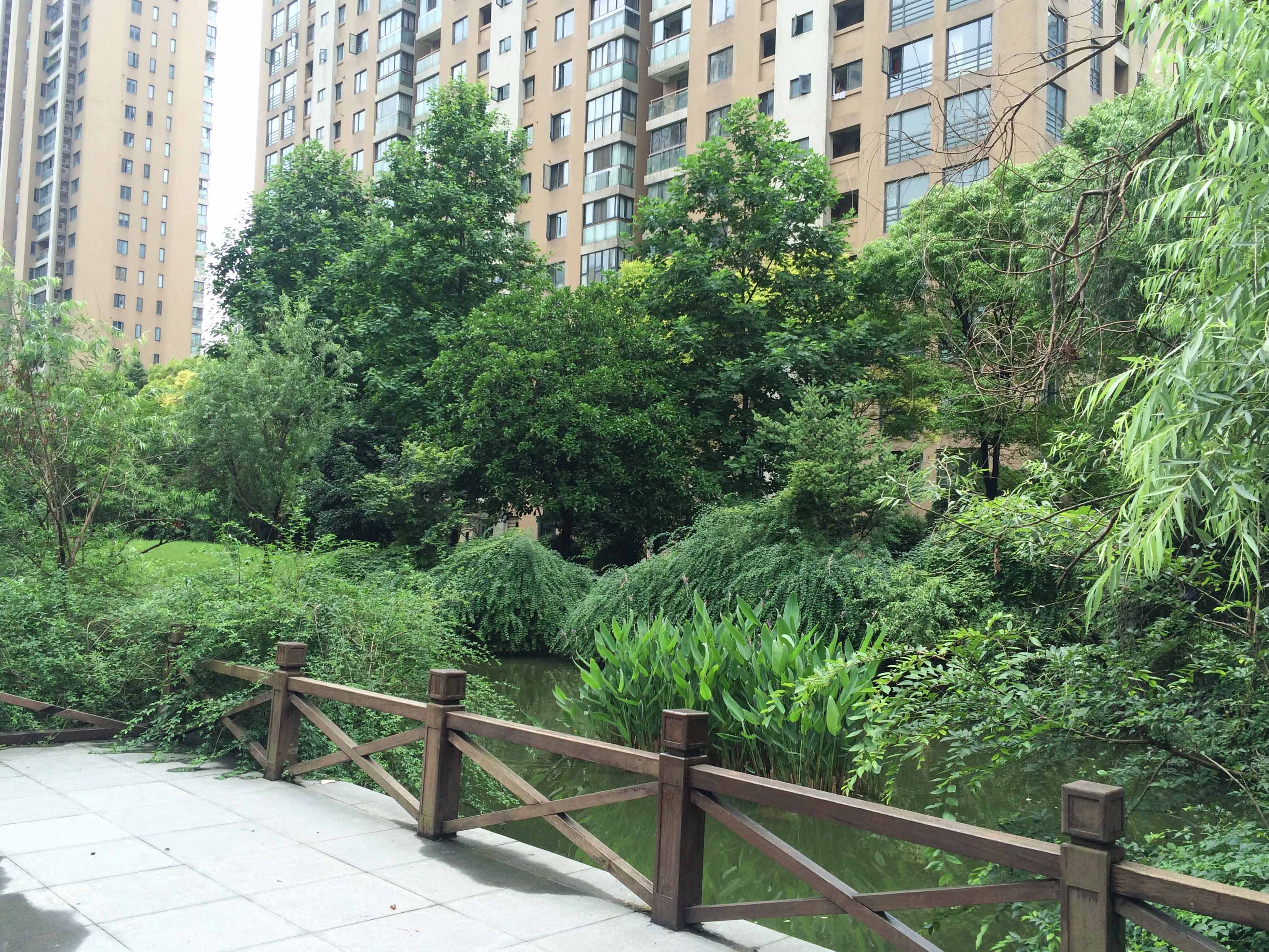  风雅钱塘小区实景 19