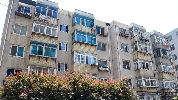 集贤北街外景图