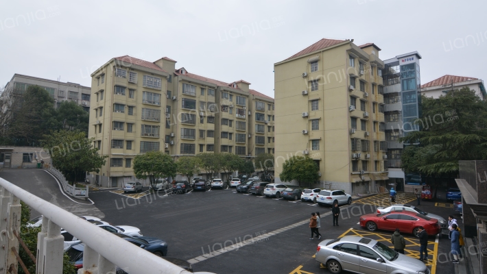 知识产权局外景图