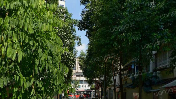 斌升街5号外景图