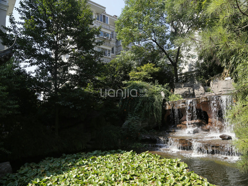 Yijing Yuan compound photo 20