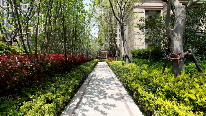 融创玉兰公馆外景图