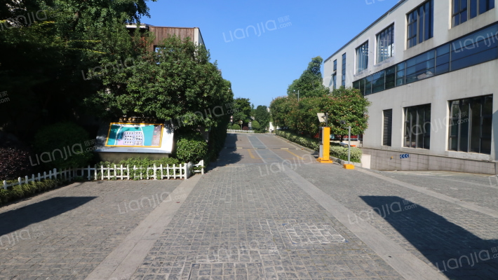 君临紫金外景图