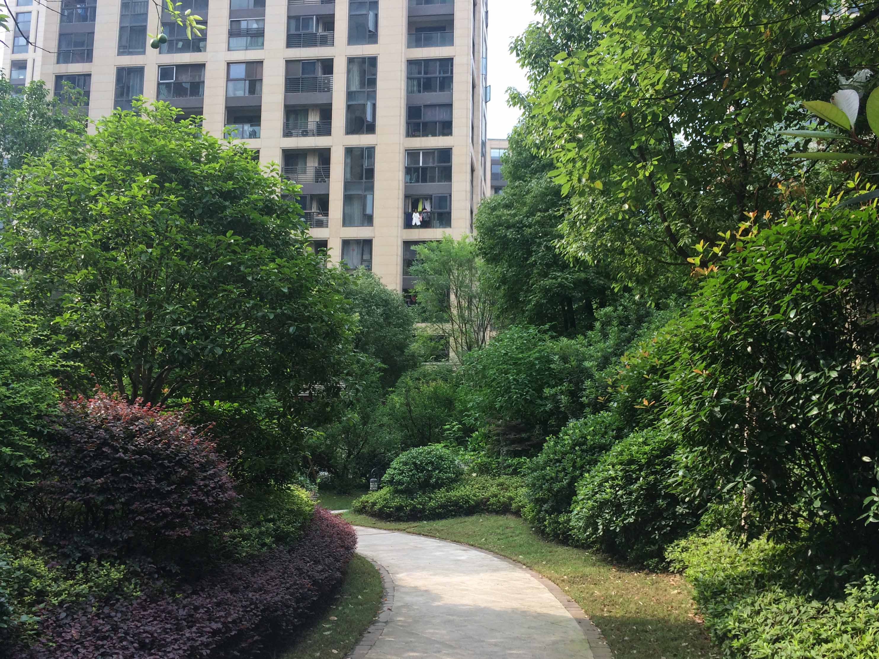 江南望庄小区实景 16