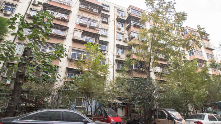 木材公司家属院外景图