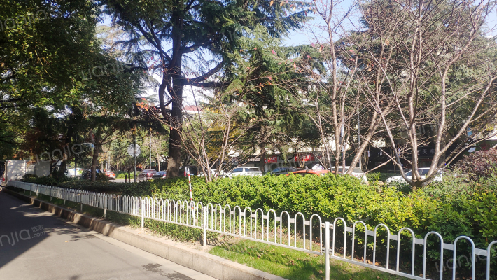 兰坪路234号外景图