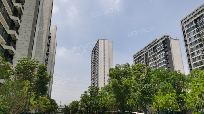 星河平江新著外景图