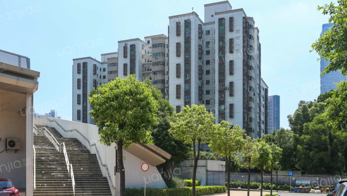 荔树人家外景图