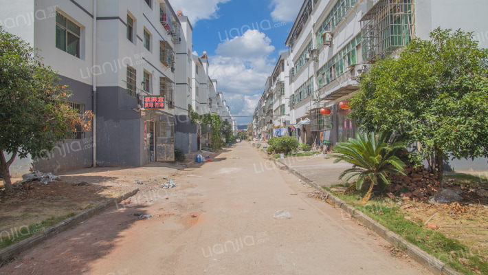 麦园小区(芙蓉路)外景图
