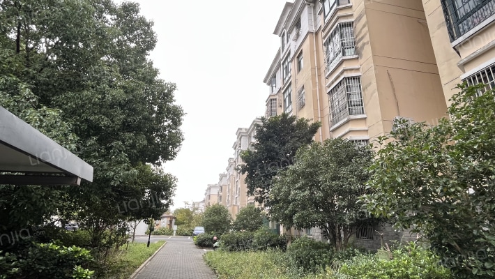 水韵名家外景图