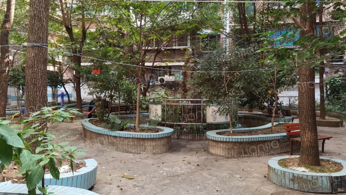 莲花巷17号外景图