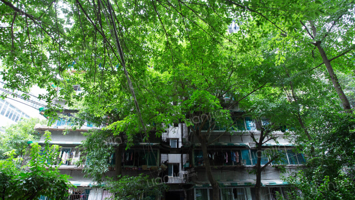 西岭路3号外景图