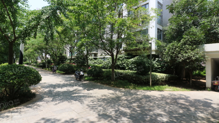 江雁山水雅苑外景图