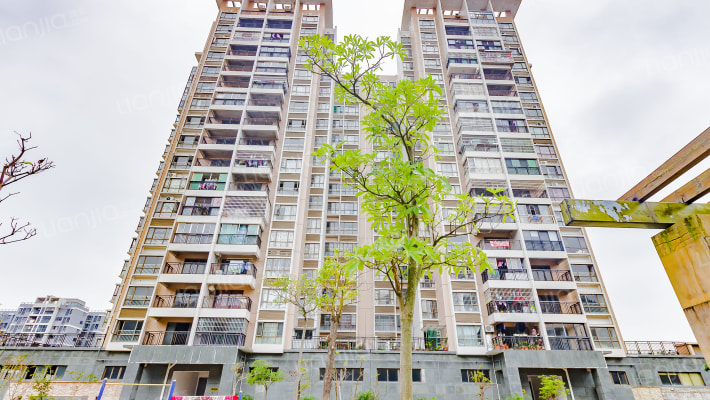 金域上景外景图