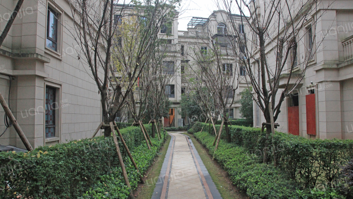 金科天元道一期一组团外景图