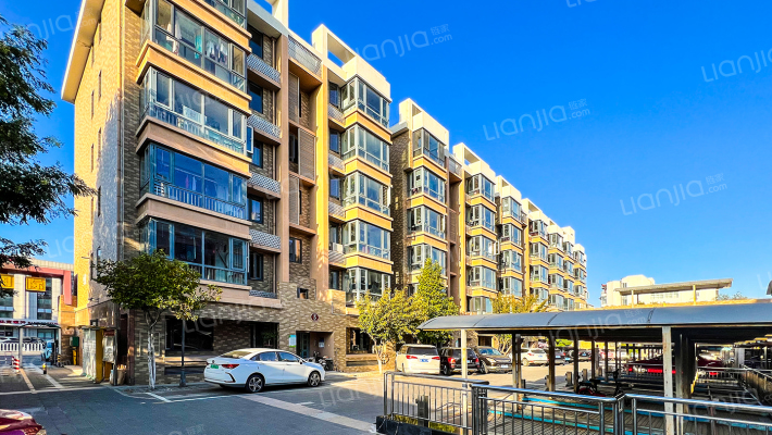 金桥国际外景图