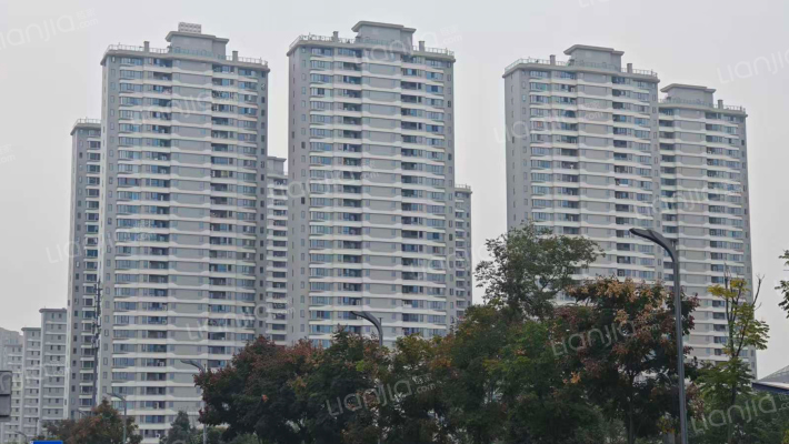 城投置地天湖岸外景图