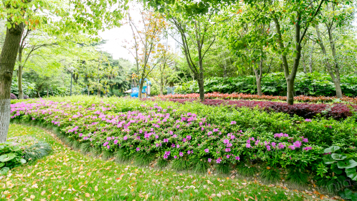 中星美华邨(公寓)外景图