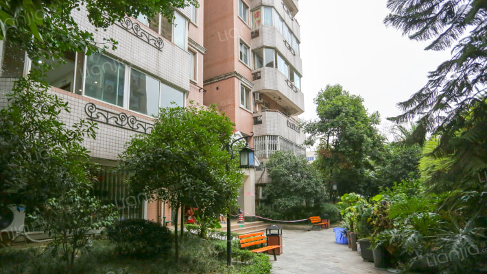 城西故事外景图