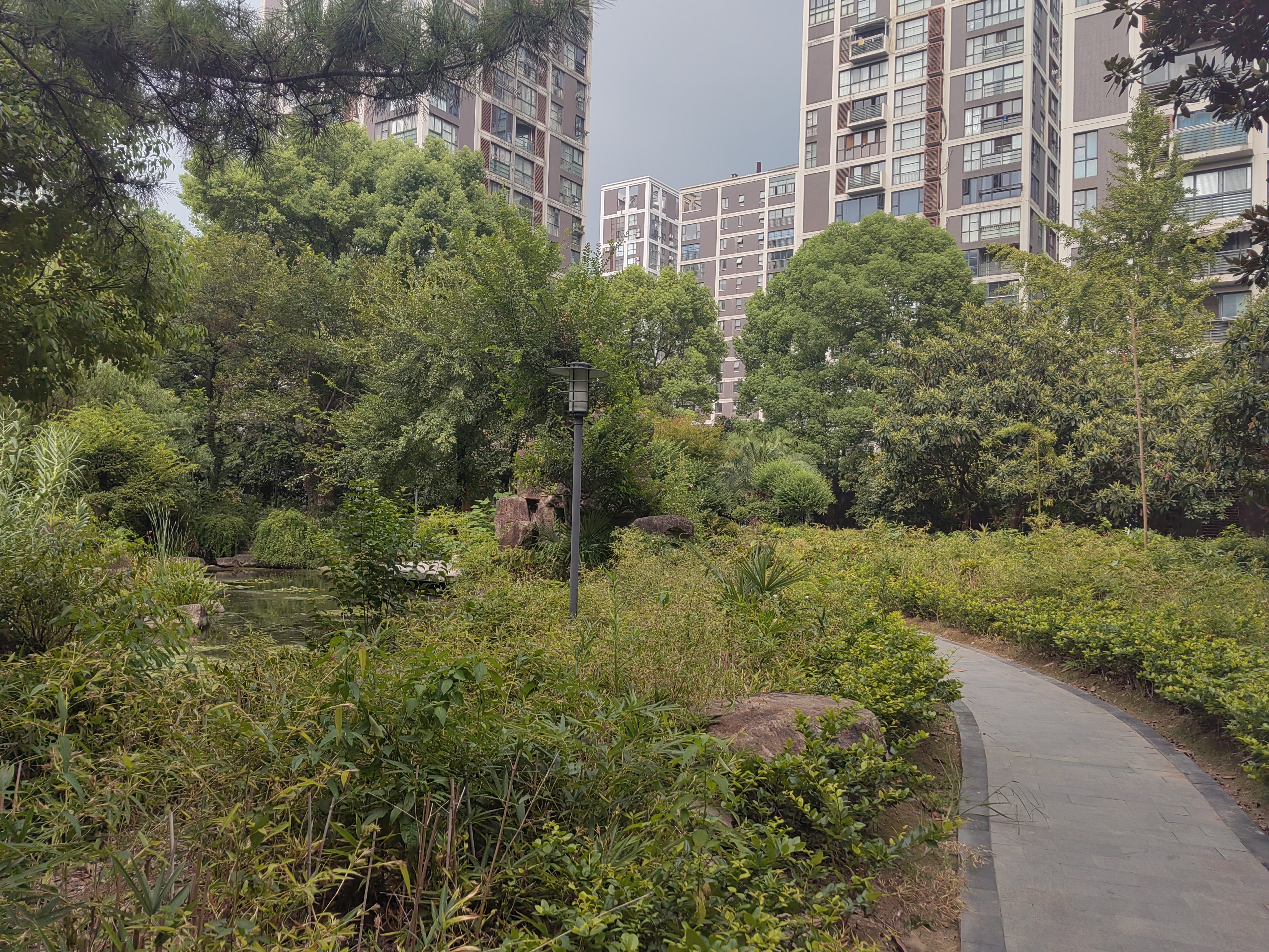 佳境天城小区实景 4