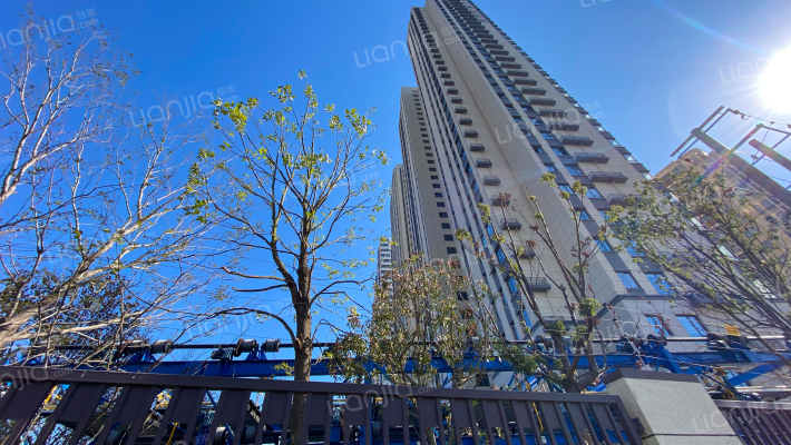 金大地天元府外景图