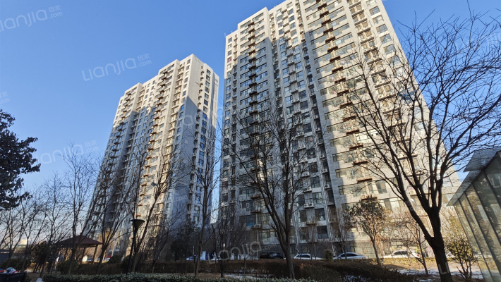 百盛郁金香外景图