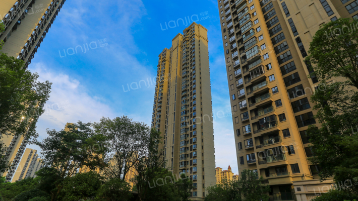 新力龙湾一期外景图