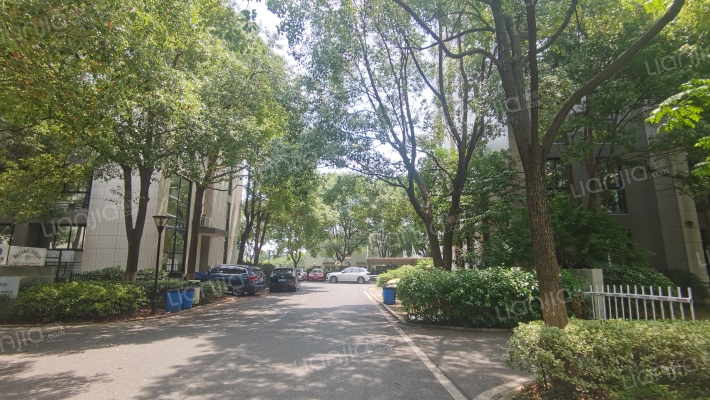 武大航域外景图