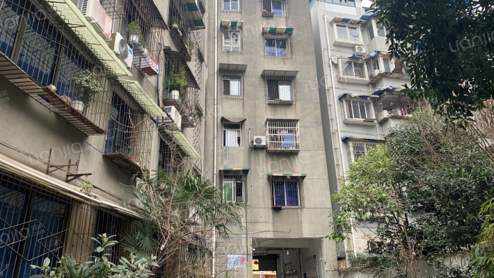 东北市街66号外景图