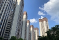 肇庆碧桂园龙熹山花园户型图实景图