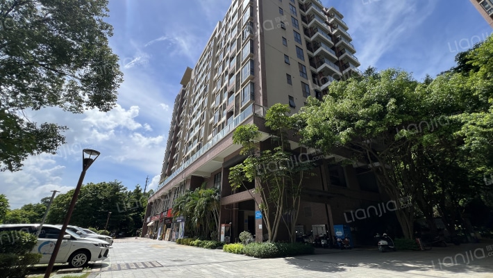 星河丹堤外景图