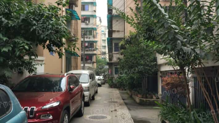 肖家河街外景图