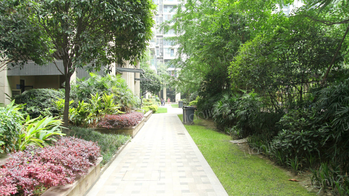 观南上域外景图