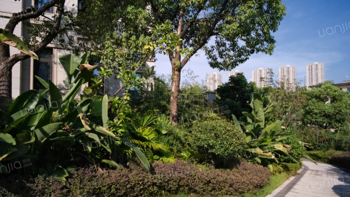 江与城天矩外景图