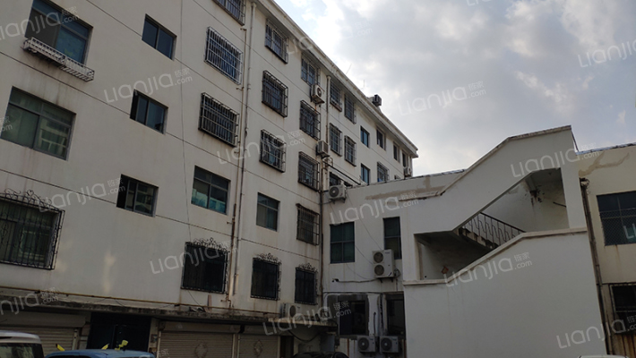 县社家属楼外景图